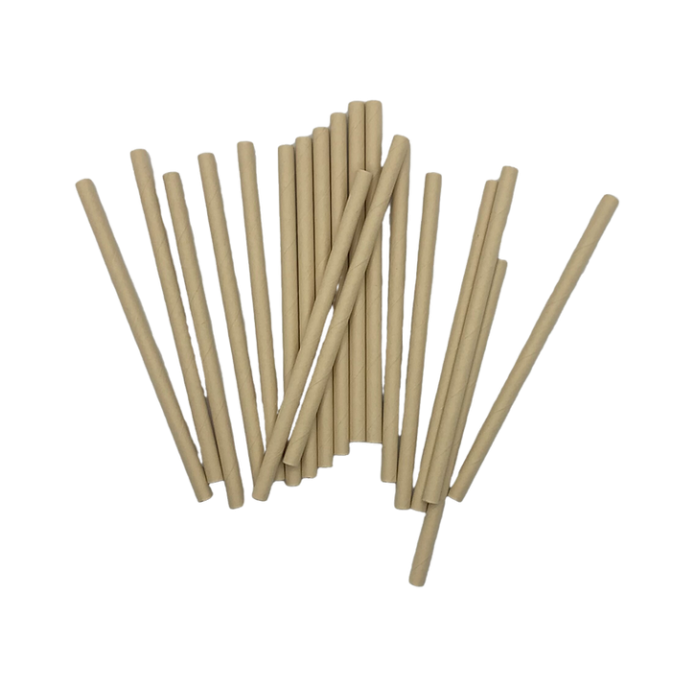 Paille Jetable en Fibre de Bambou L 12,5 cm Ø 0,06 cm - Natural Bambou Pas  Cher