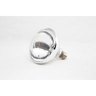 Ampoule pour Lampe Chauffante 250 W - Combisteel