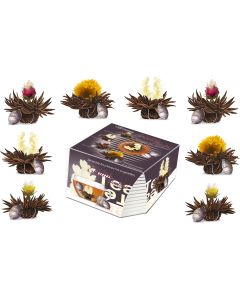 Set d’essai exclusif de thé en fleur Erblühteelini - 8 fleurs de thé dans 4 variétés.