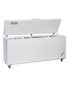 Congélateur Bahut Professionnel - 700 Litres - Cool Head -