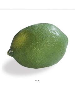 Citron vert artificiel L 8 50 cm lime