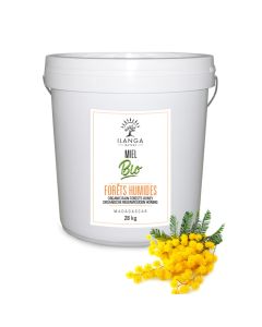 Miel de Forêts Humides 28kg BIO