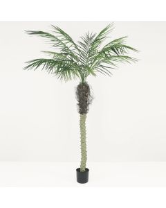 Palmier artificiel areca 180cm