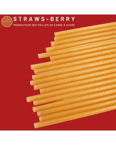 Lot de 2750 Pailles en Canne à Sucre Small Berry - Straw-Berrys