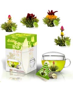 Creano ErblühTeelini Set cadeau de fleurs de thé avec verre à thé et 8 fleurs de thé en format tasse, thé vert, cadeau