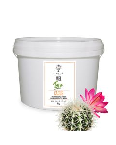 Miel de Cactus 5kg BIO