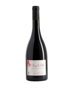 Cuvée Sous la Robe 2022 - Vin Saint Nicolas de Bourgueil - Carton 6 bouteilles
