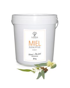 Miel d'Eucalyptus 28Kg