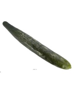 Concombre factice légume artificiel D 4 cm et Longueur 26 cm