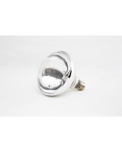Ampoule pour Lampe Chauffante 250 W - Combisteel