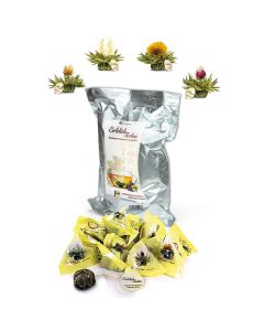 Creano ErblühTeelini, paquet de 36, fleurs de thé blanc