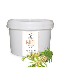 Miel de Niaouli 5kg