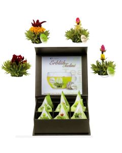 Creano 6 fleurs de thé Teelini thé vert - dans boîte magnétique avec gaufrage sibérien - 4 sortes différentes
