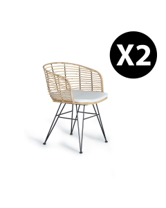 Lot de 2 chaises en rotin et métal