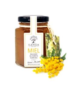 Miel de Forêts Humides 140g