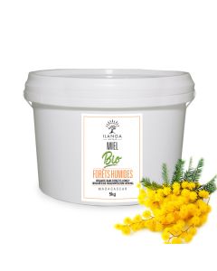 Miel de Forêts Humides 5kg BIO