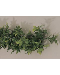 Guirlande de Lierre pour Vitrine L-2700 MM - L2G